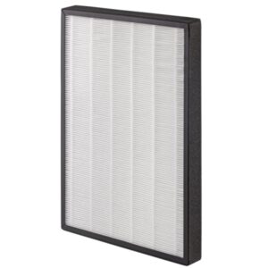 HEPA filtr Concept CA3000